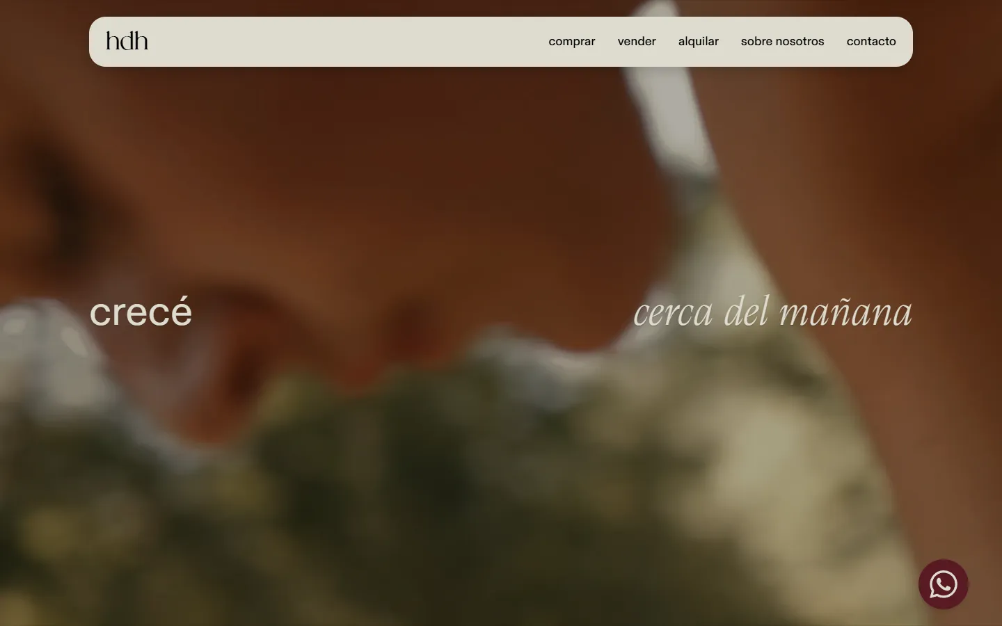HDH Bienes Raíces home page